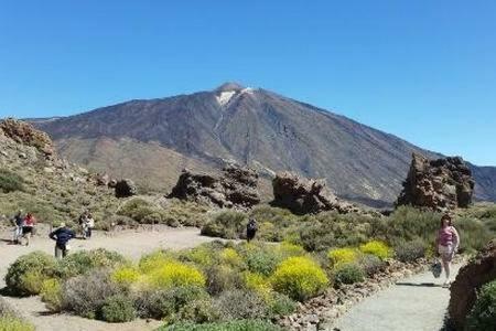 Gfs Home Santa Cruz de Tenerife Kültér fotó